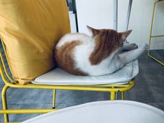 -五进制 Coffee Shop