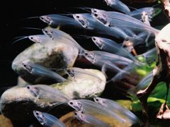 -太平洋海底世界