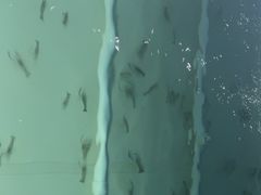 -DGE季风钓虾营地·团建·聚会