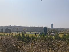 -宜兴龙背山森林公园