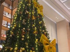 -福州泰禾铂尔曼酒店·大堂酒廊