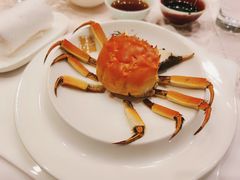 清蒸大阐蟹-新光酒家·河豚·海鲜·蟹料理(浦东店)