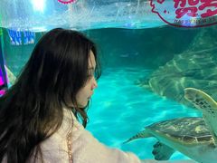 -常州海昌海洋探索馆