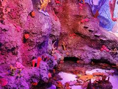 -沈阳海洋探索中心