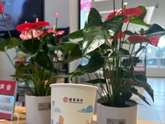 -招商银行(北京上地支行)