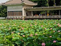 -荔湾湖公园