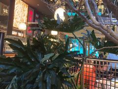 -桂满陇·海市蜃楼·黑金(国金店)