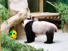 -杭州野生动物世界