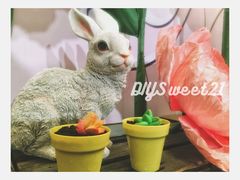-DIY SWEET21(升平路店)