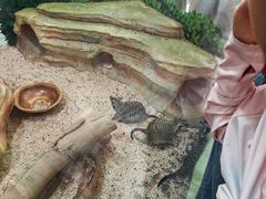 -海合安武汉极地海洋公园