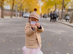 -三里屯东五街银杏大道