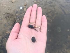 -青海湖国家重点风景名胜区售票处
