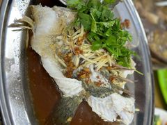 蒸鱼-明记烧鱼美味店