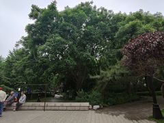 -玲珑塔公园