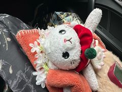 -安家桂花汤圆(许府巷店)