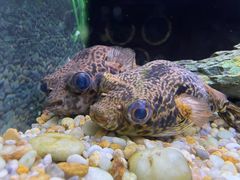 -上海海洋水族馆