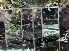 -上海海洋水族馆