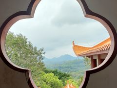 -深圳仙湖植物园