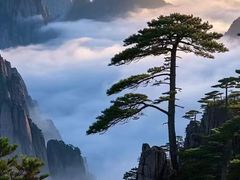 -黄山北站
