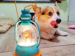 -星巴克(北京环球金融中心店)