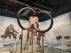 -辽宁古生物博物馆