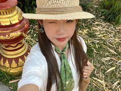 -西双版纳总佛寺