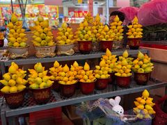 -越秀西湖花市(广州城市广场花卉店)