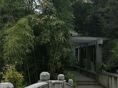 -菊花台公园