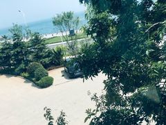 -了不起的考拉咖啡店(高新店)