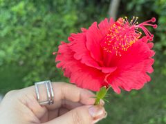 -沙田台山海鲜·酣客酒窖