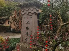 -灵隐飞来峰景区