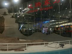-中国航空博物馆