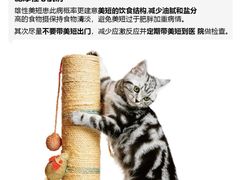 -申普宠物医院(总院)