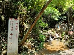 -南丹山森林王国