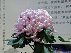 -汇龙潭