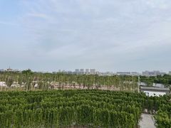 -白佛山景区