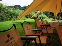 -梁鸿国家湿地公园