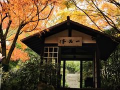 -中国茶叶博物馆(双峰馆区)