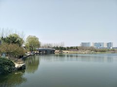 -大兴滨河森林公园