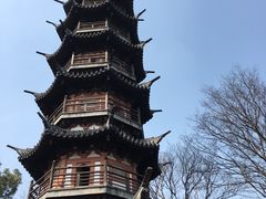 -上海佘山国家森林公园西佘山园