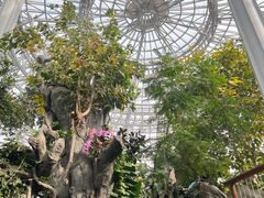 -郑州植物园