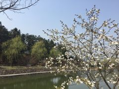 -杭州六谷生态休闲农庄有限公司