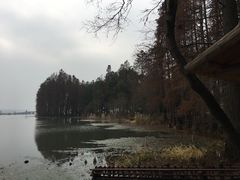 -东湖落雁景区