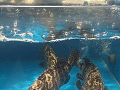 -百富源·海鲜辽菜(和平北大街店)