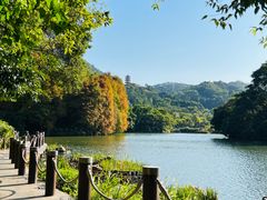 -深圳仙湖植物园
