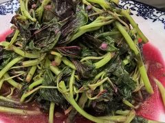 -呼吸森林·生态农庄农家乐私房菜