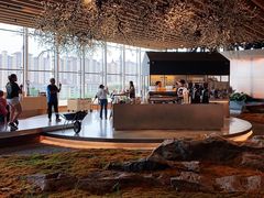 大堂-Seesaw Coffee(朝阳大悦城店)