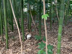 -苏州河梦清园环保主题公园