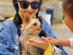 -安德鲁户外烧烤帐篷营地(马泉营店)