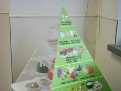 -厦门弘爱医院